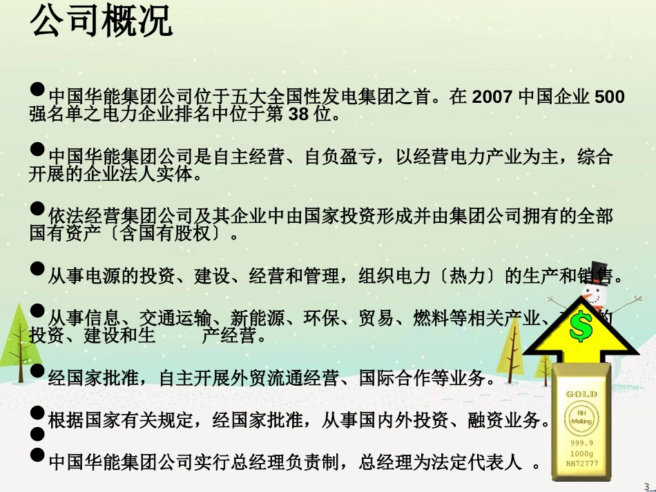华能集团公司财务综合分析_第3页