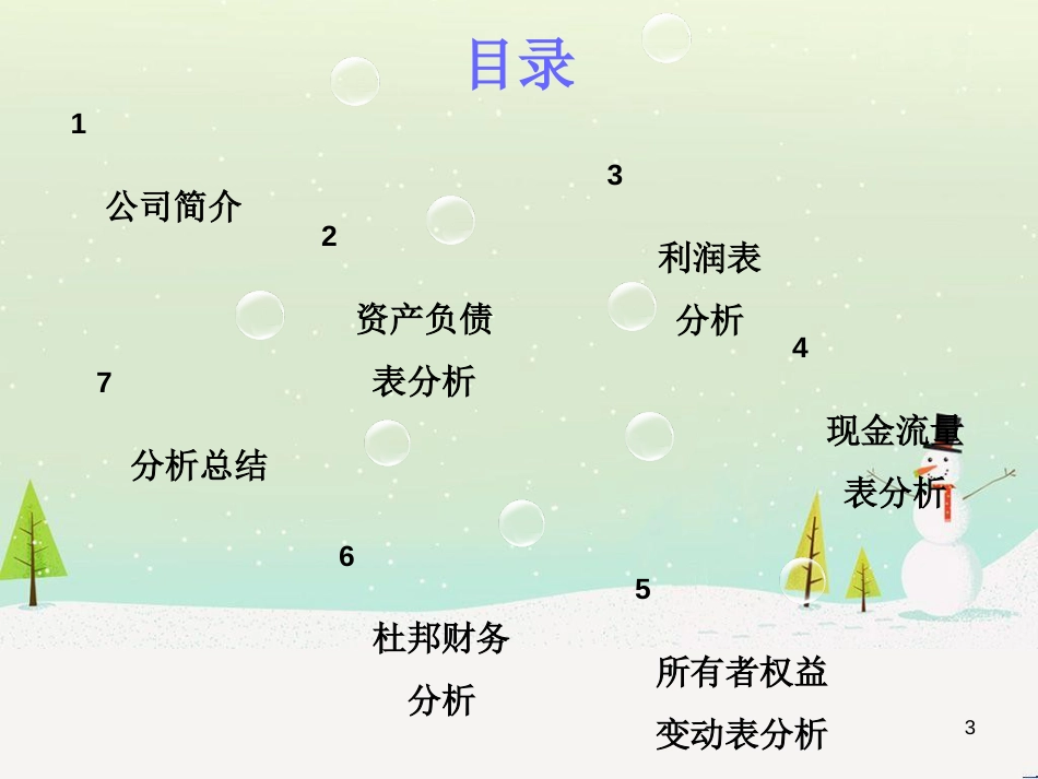 国际酒店发展管理知识及财务报表分析_第3页