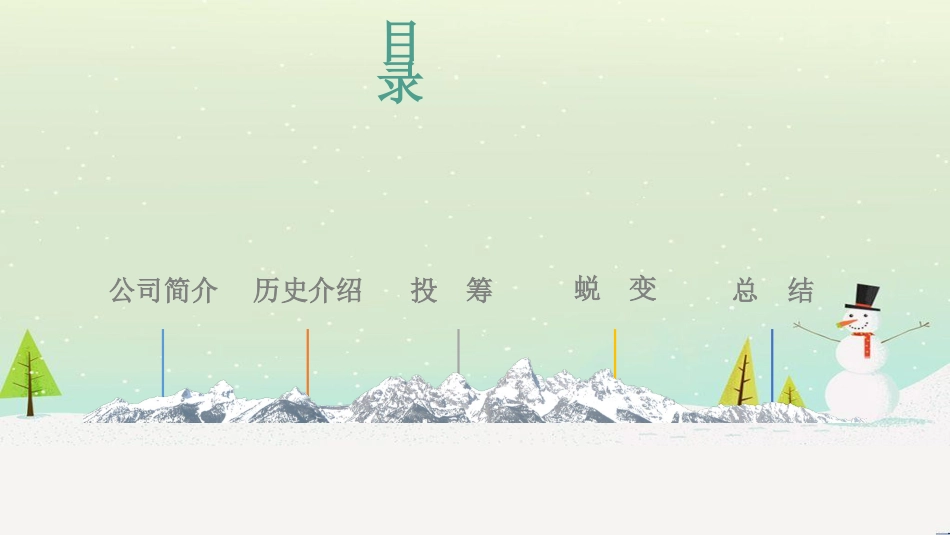 中国远洋财务案例分析_第2页