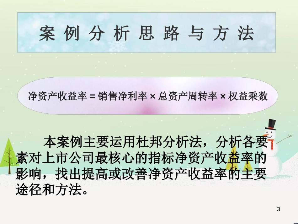 格里美的财务分析_第3页
