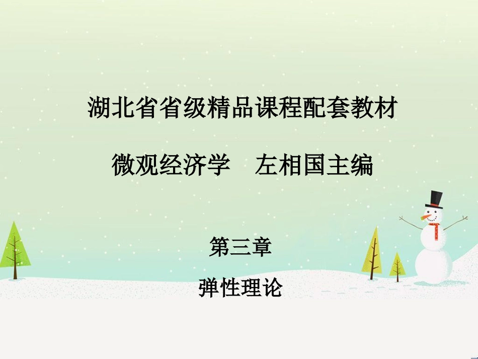 微观经济管理学与财务知识分析课程教材_第1页