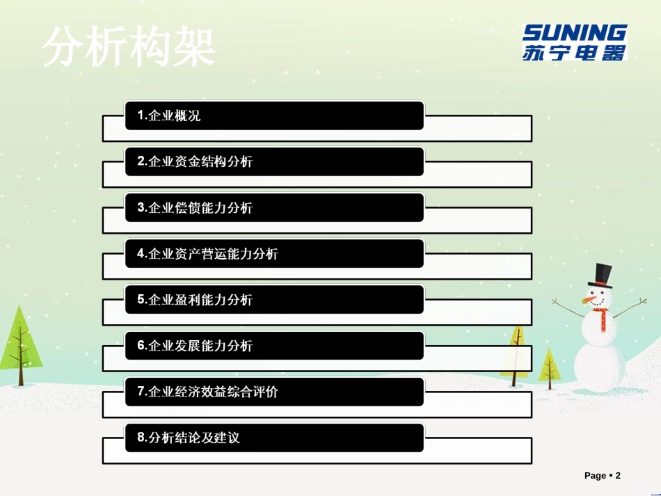 苏宁电器股份有限公司财务报表分析报告_第2页