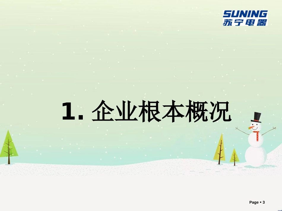 苏宁电器股份有限公司财务报表分析报告_第3页