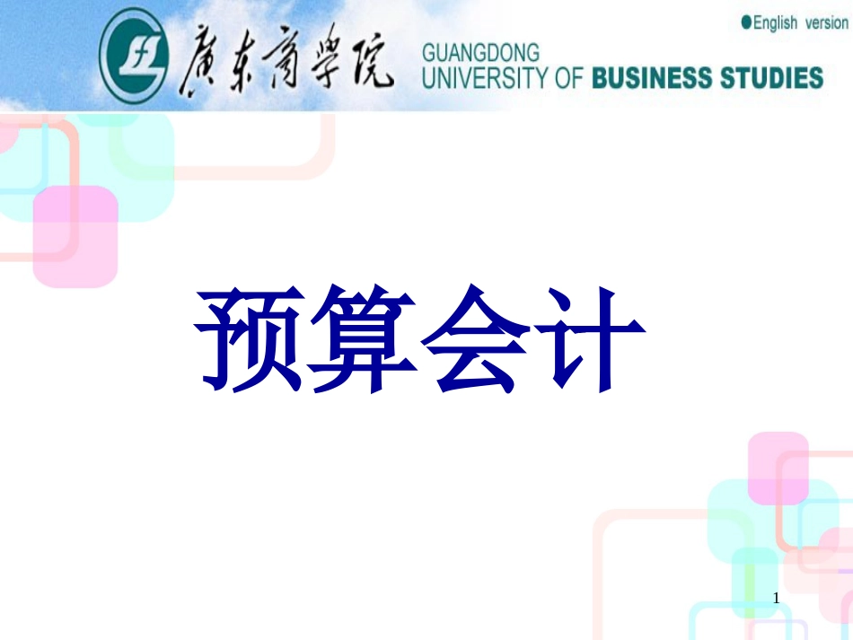 财务会计与预算管理知识分析理论_第1页