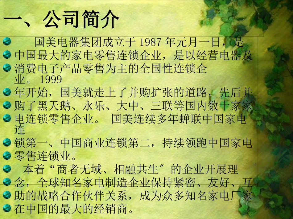 关于国美电器偿债风险的财务分析_第3页