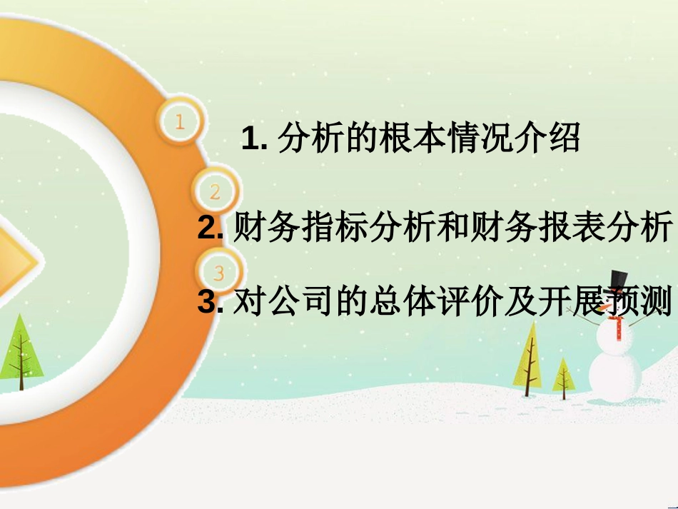太极集团财务报表分析_第3页