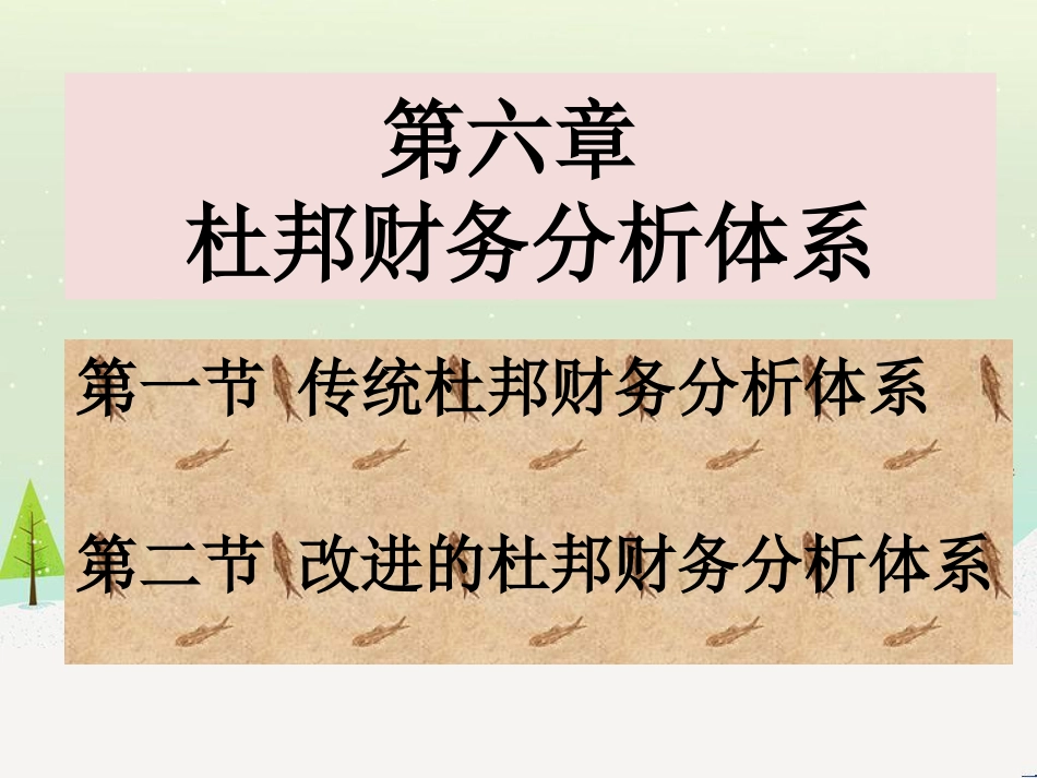 某公司财务分析体系课件_第1页