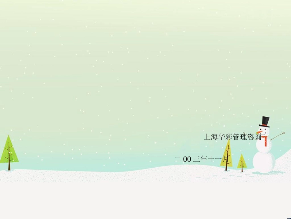 宁波洛兹集团财务体系诊断报告_第1页