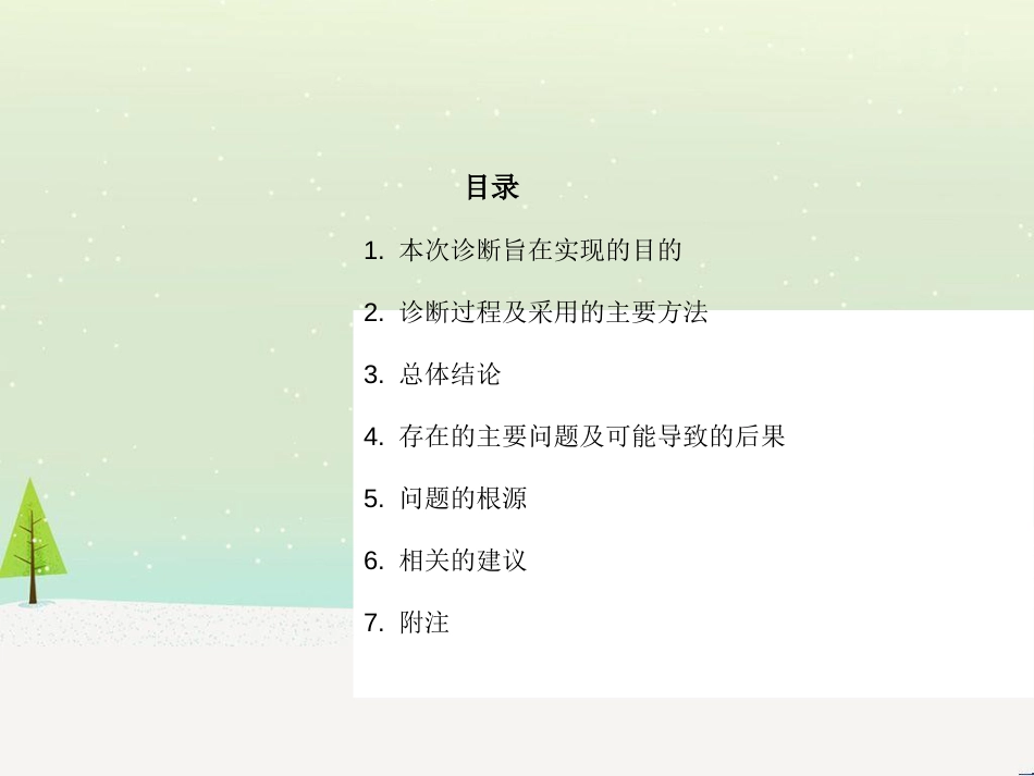 宁波洛兹集团财务体系诊断报告_第2页