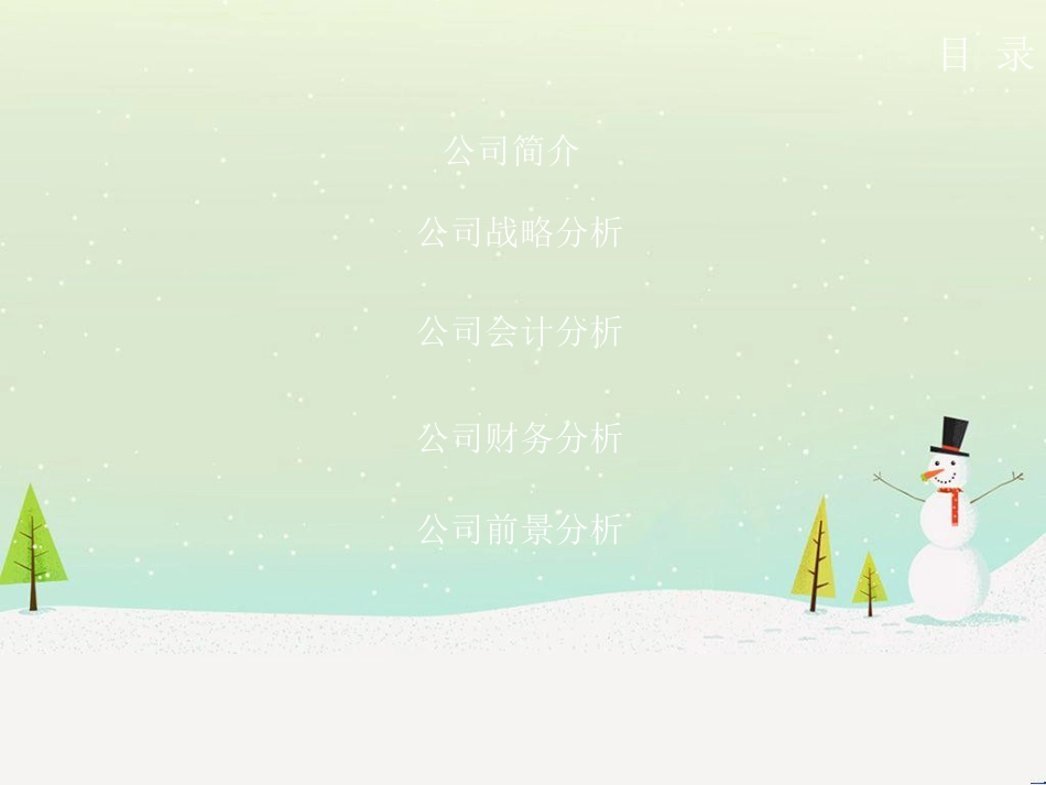 某公司财务报表分析教材_第2页