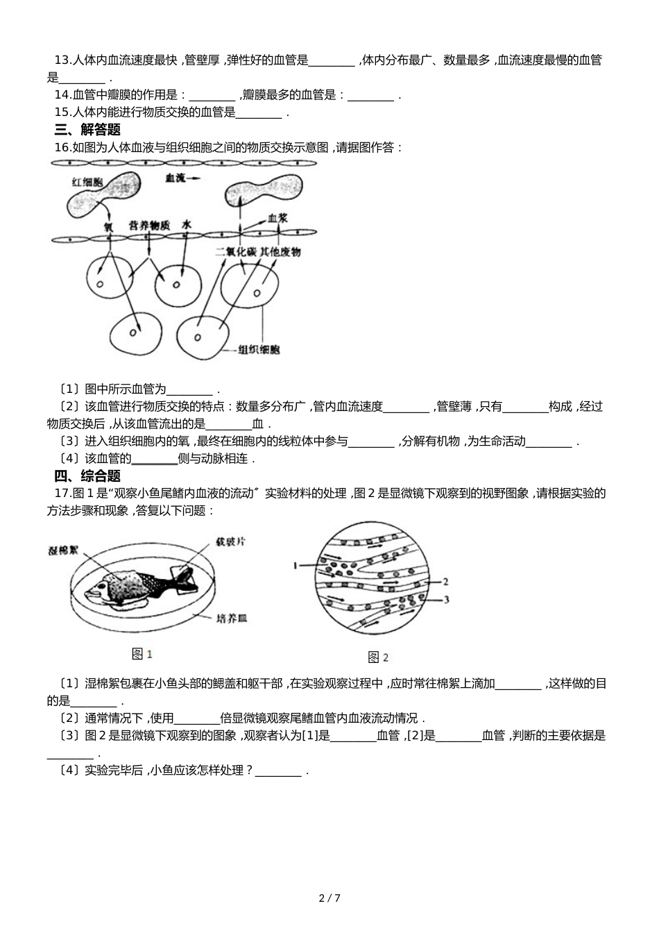 鲁教版五四制七年级上册生物 4.4.2物质运输的管道 同步测试与解析_第2页