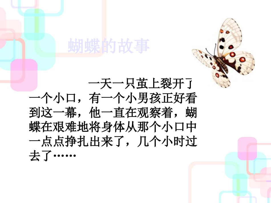 担保项目的财务分析(ppt43)_第2页