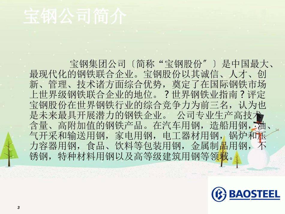 某集团财务报表及管理知识分析_第3页