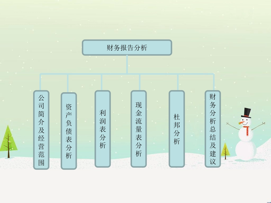 国风塑业财务报告分析_第2页