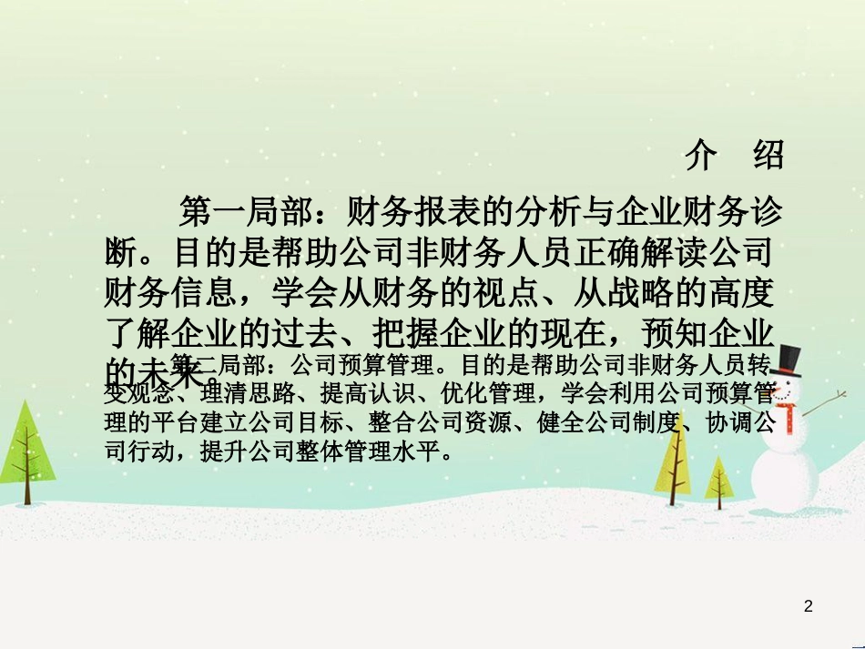 某公司预算管理及财务报表分析_第2页