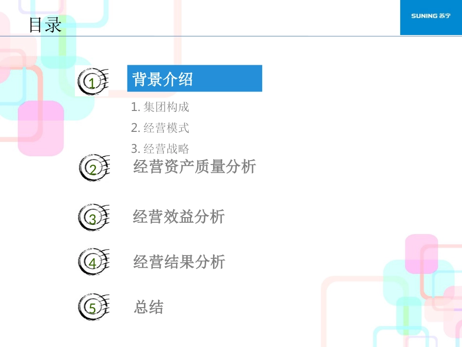 案例苏宁电器财务报表分析案例_第2页