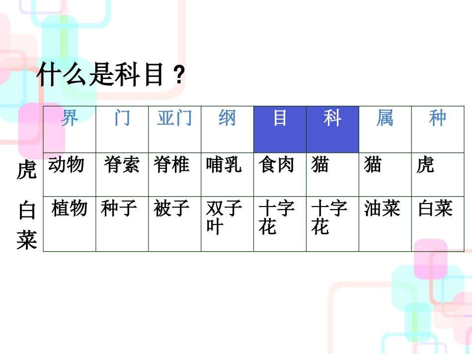 财务会计与科目账户管理知识分析_第2页