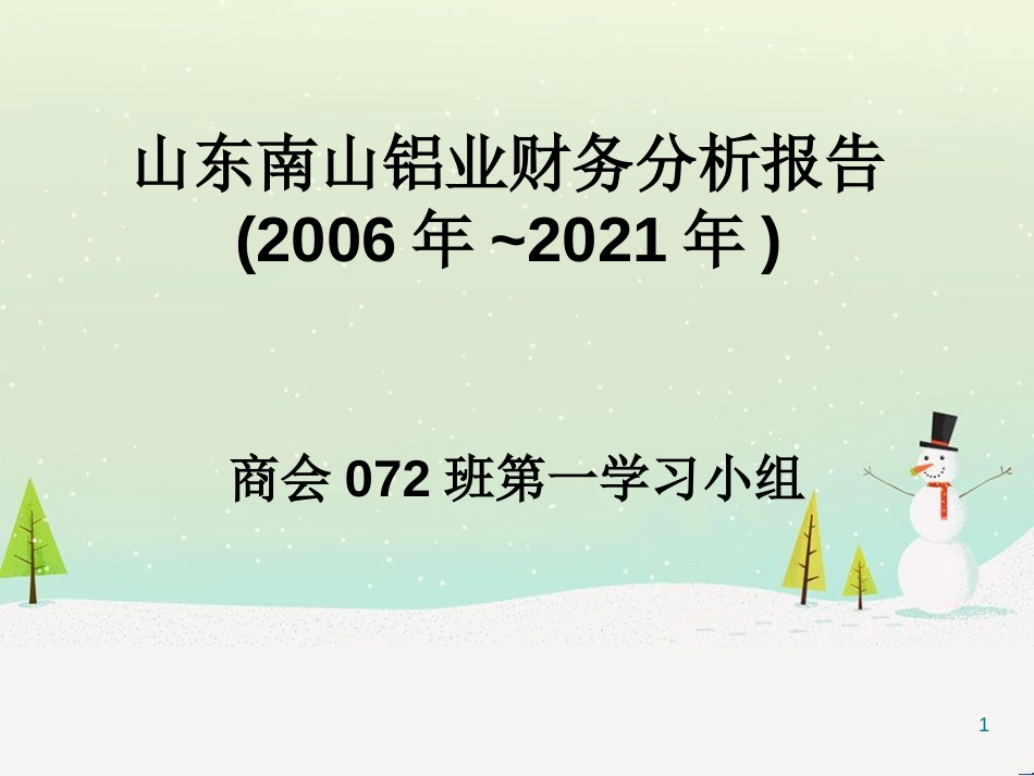 山东某公司财务分析报告_第1页