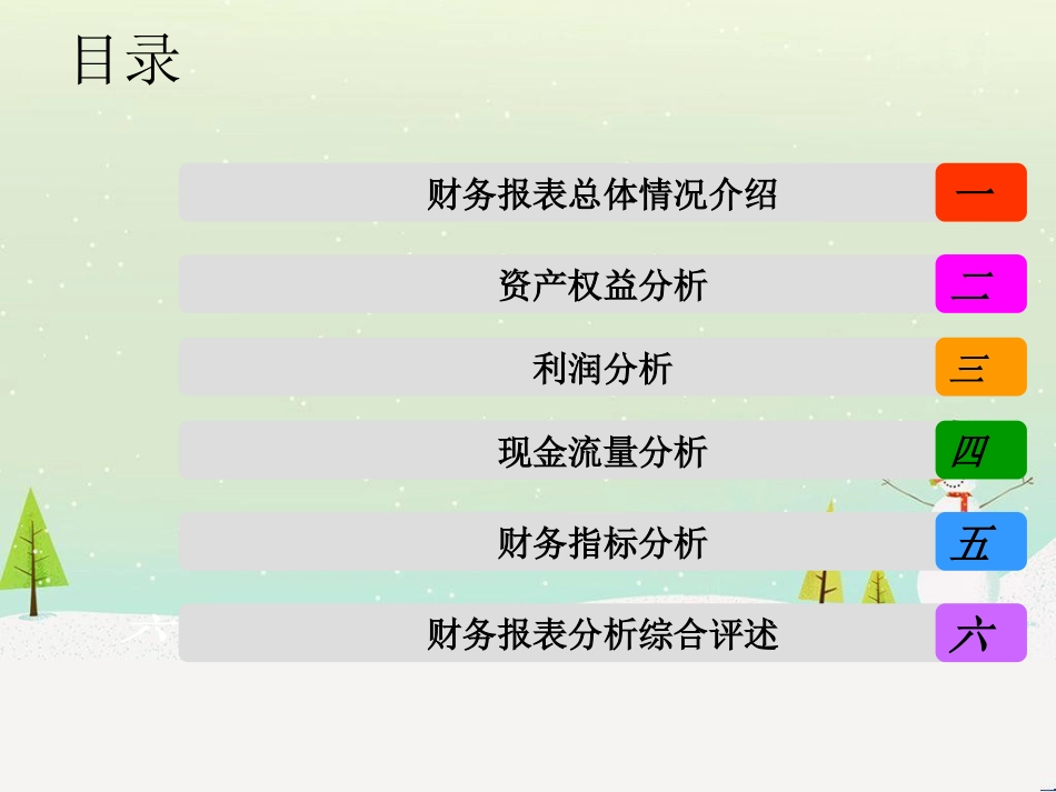 五粮液公司财务报表及综合管理知识分析报告_第2页