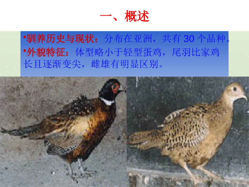 特种经济动物养殖管理与财务知识分析_第2页