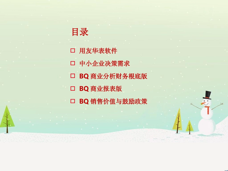 商业分析财务基础版_第2页