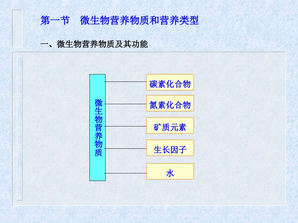 第六章微生物营养与代谢PPT精选文档_第3页