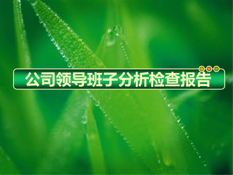 公司领导班子分析检查报告_第1页
