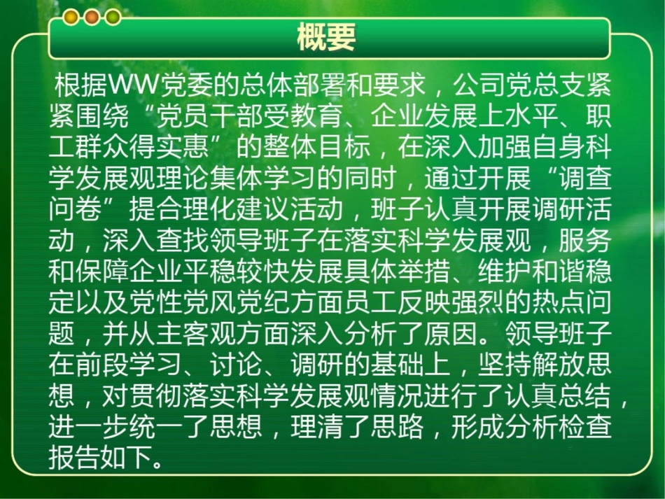 公司领导班子分析检查报告_第2页