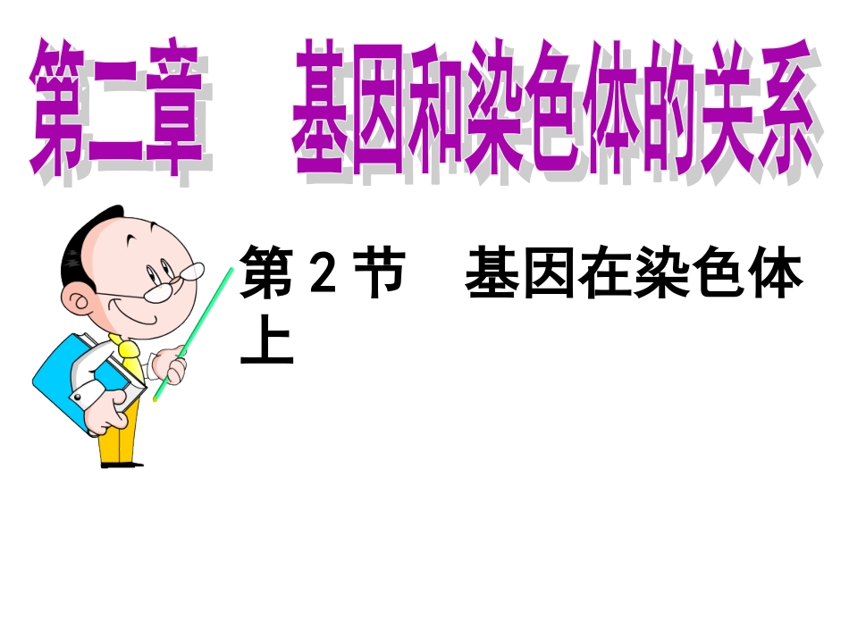 基因在染色体上-公开课_第1页