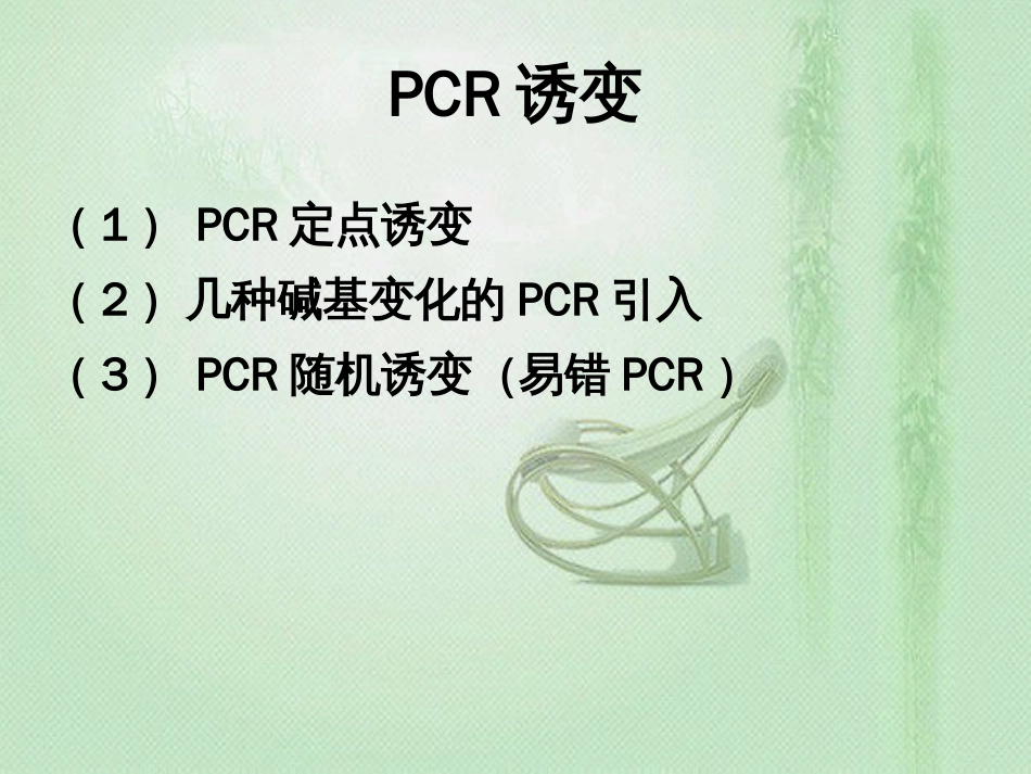 PCR诱变[共23页]_第2页