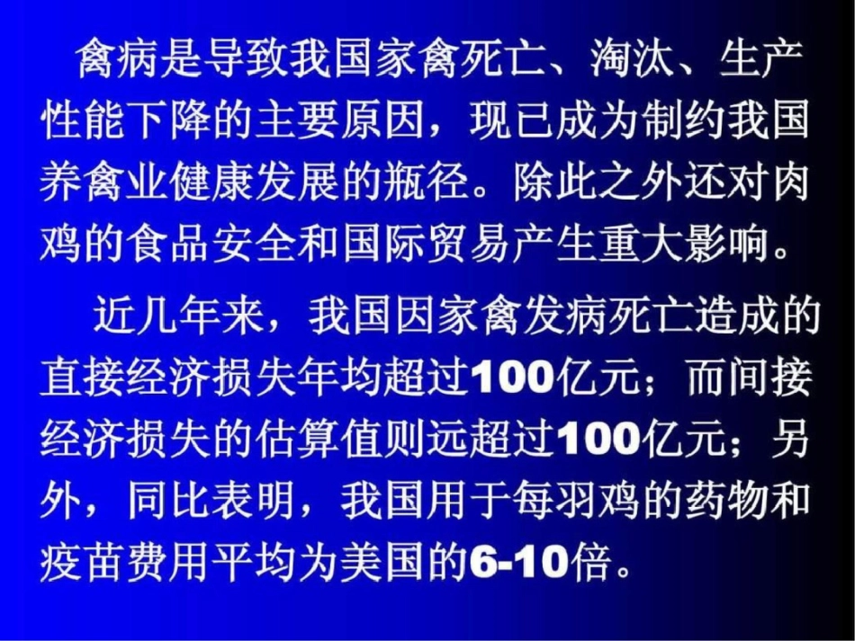 白羽肉鸡疾病流行特点与防治对策.ppt文档资料_第2页