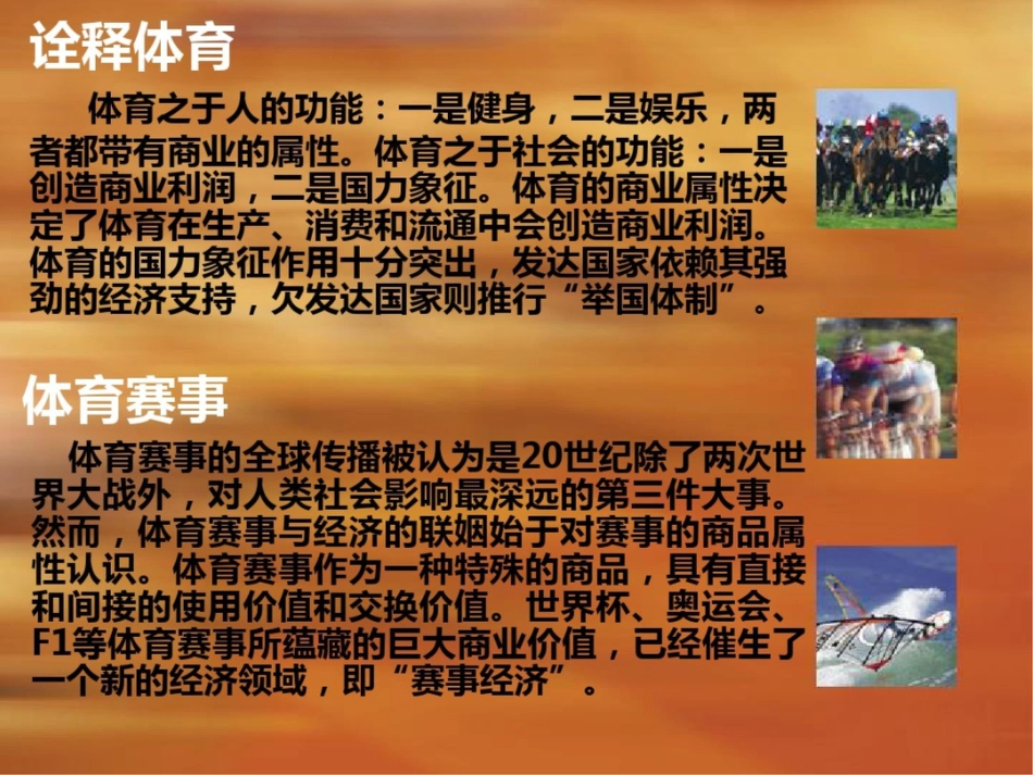 大型赛事的运作技术与营销策略_第2页