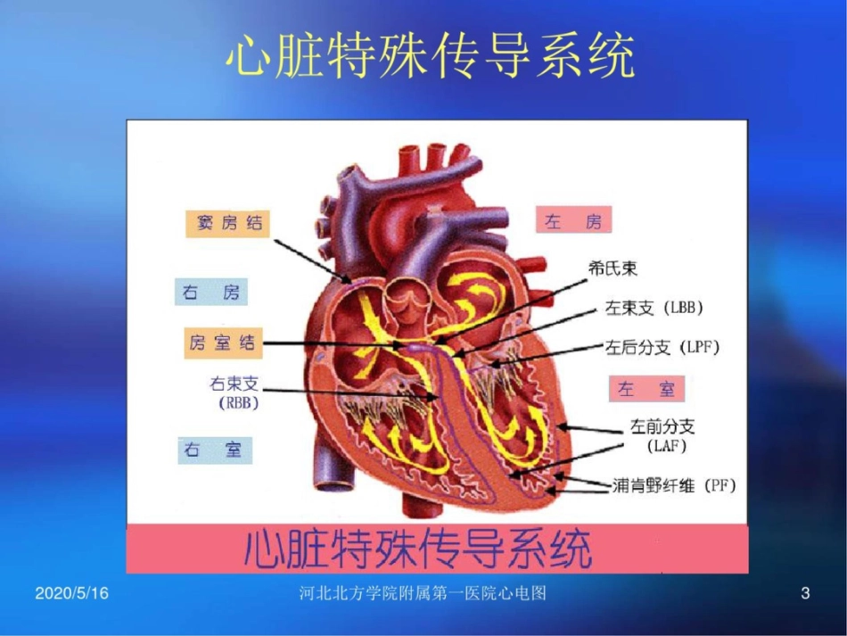 房室传导阻滞与窦房传导阻滞_第3页