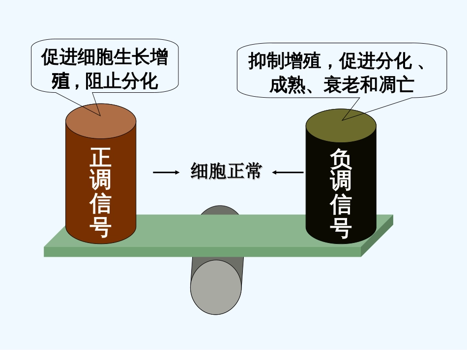 第十一章癌基因与抑癌基因._第3页