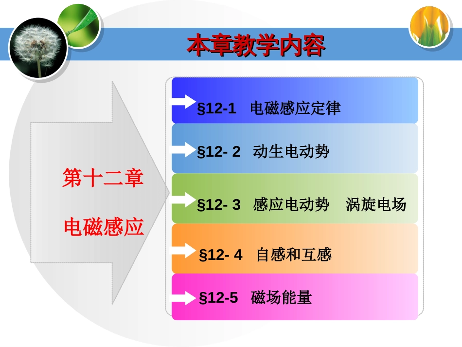 大学物理电磁学电磁感应[共83页][共83页]_第2页