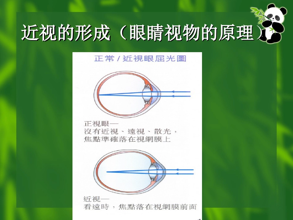 爱护眼睛预防近视[24页]_第3页