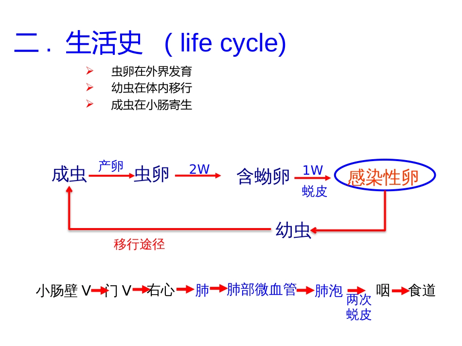 寄生虫生活史总结_第3页