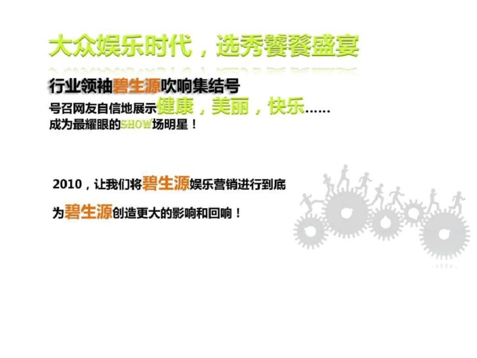 碧生源2010网络推广策划全案图文.ppt文档资料_第2页