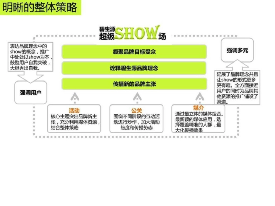 碧生源2010网络推广策划全案图文.ppt文档资料_第3页