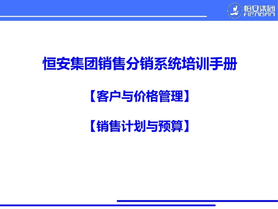 恒安集团分销系统_第1页