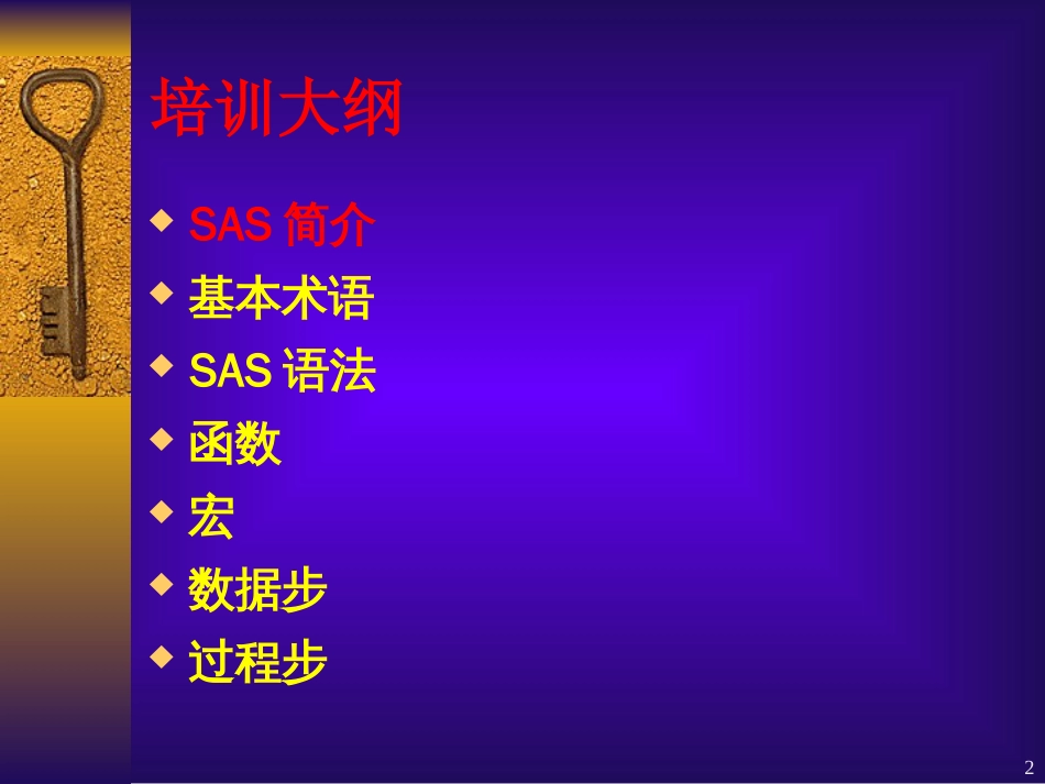 SAS语言入门[共91页]_第2页