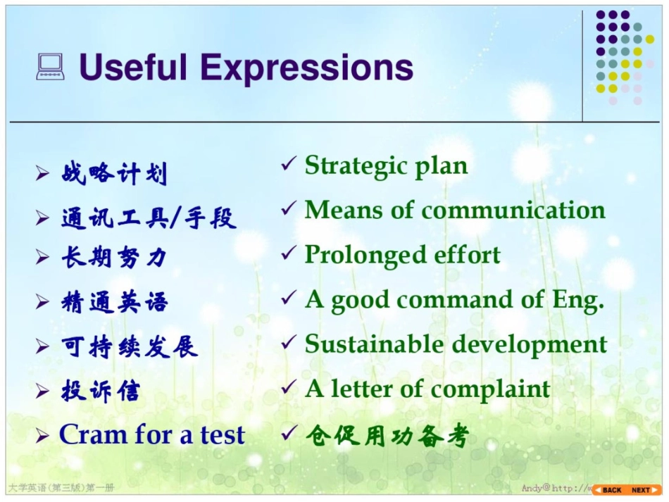 大学英语第一册第一单元SomeStrategiesforLearningEnglish_第3页