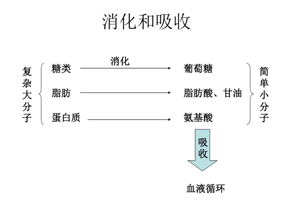 初中生物知识结构图[共24页]_第3页