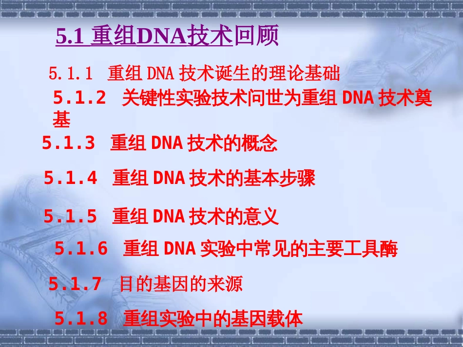 第5章分子生物学研究方法上共130页PPT资料_第3页