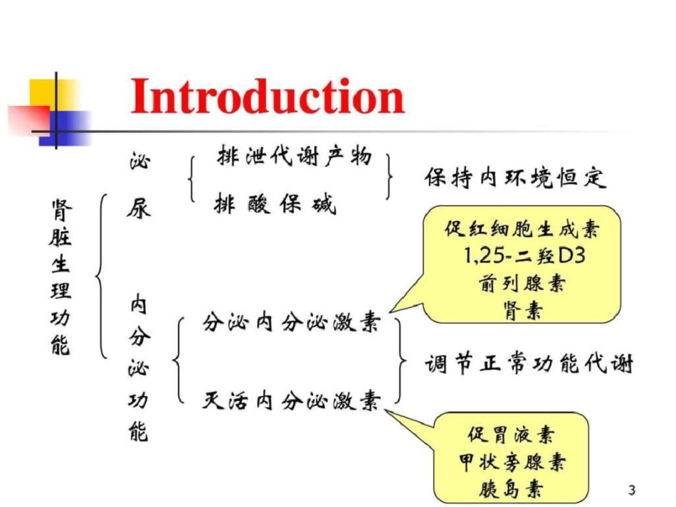 肾功能不全4学时图文.ppt文档资料_第3页