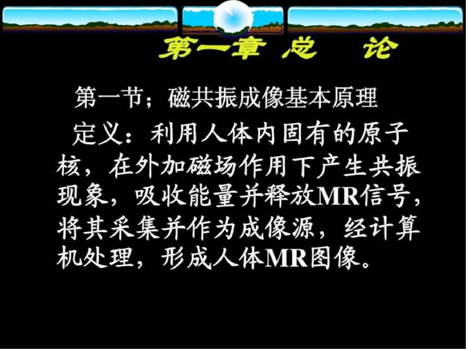 磁共振诊断学.ppt文档资料_第2页