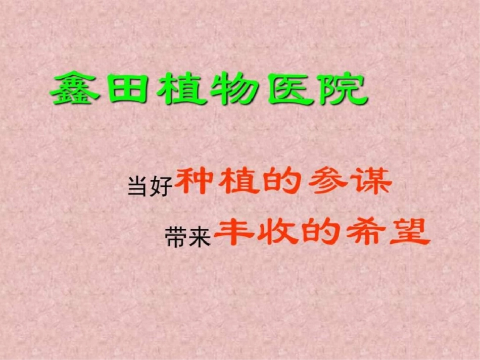 番茄病毒病防治绝招.ppt文档资料_第1页