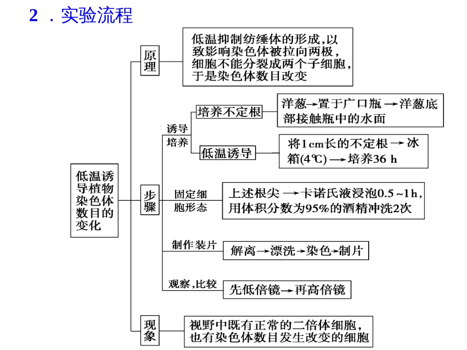 低温诱导植物染色体数目的变化[共10页]_第2页