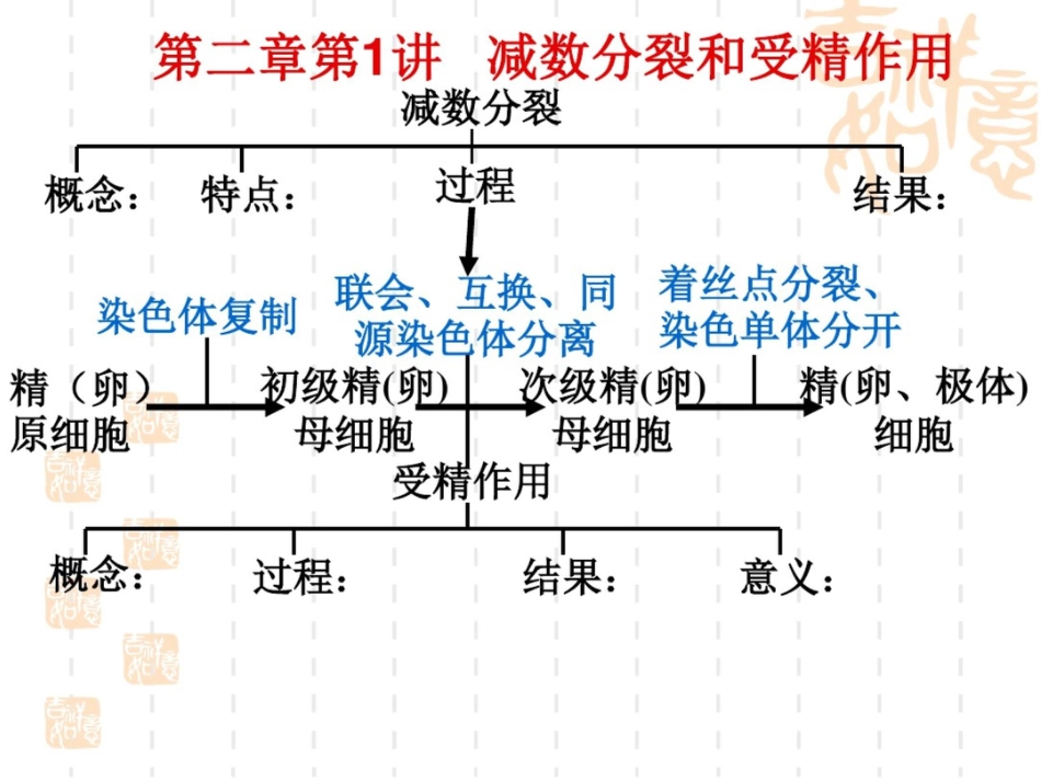 必修2第2章减数分裂和受精作用复习_第2页