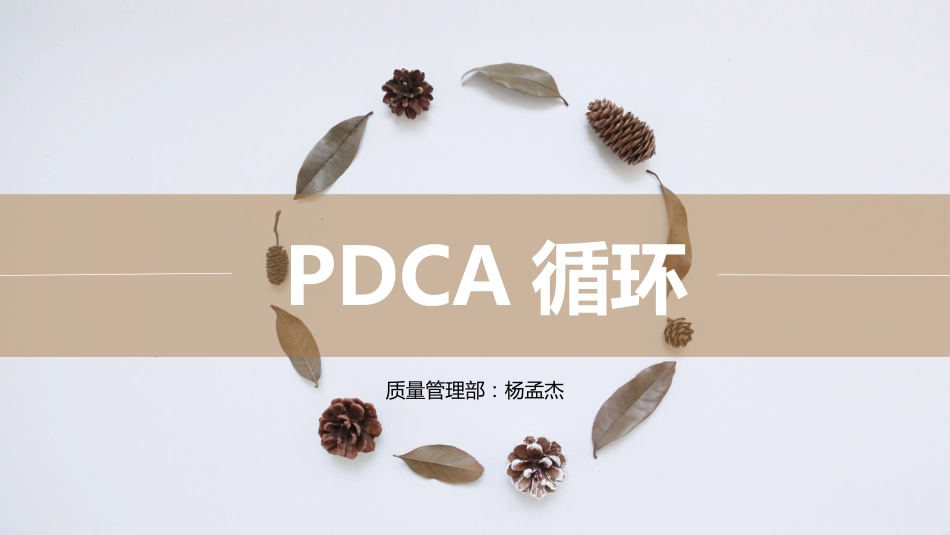 PDCA循环[共15页]_第1页